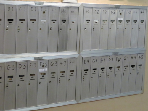 �����ʵ�Ա��������ڹ�ȥ���꣬���ù���֮��͵�԰�����Ʒ����Ʊ����ֵԼ2����Ԫ��(�����������ձ���/���߳�С�� ��)