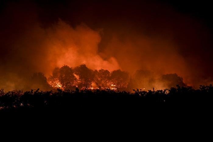 葡萄牙中部山火肆虐