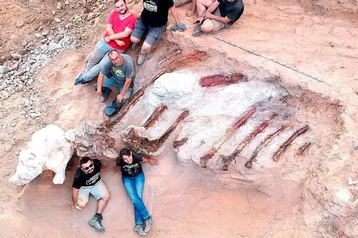 葡萄牙现巨型恐龙化石