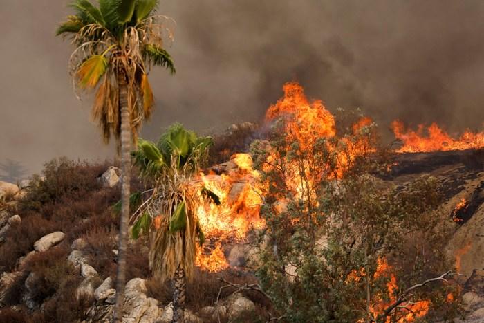 美国南加州山火肆虐