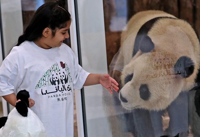 大熊猫首次旅居中东