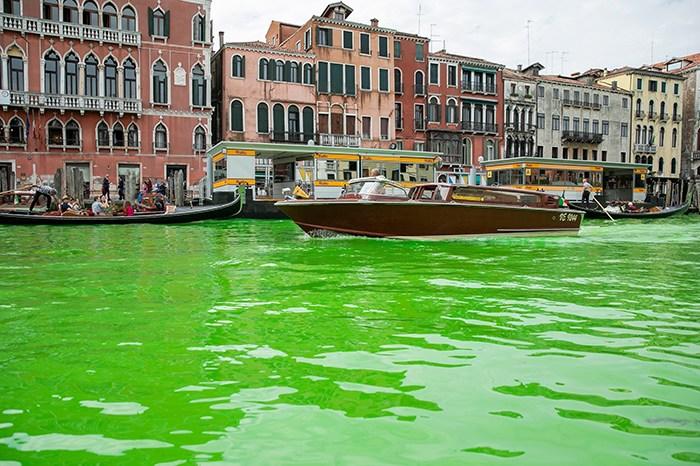 威尼斯部分水体变荧光绿色