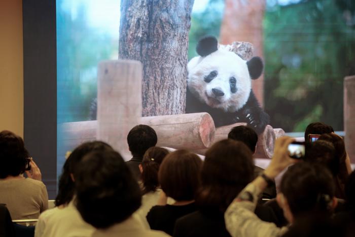 日本民众隔空为大熊猫“香香”庆生