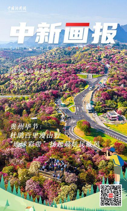 【这个城市有点潮】贵州毕节：杜鹃百里漫山野 “地球彩带”扬起最炫民族风