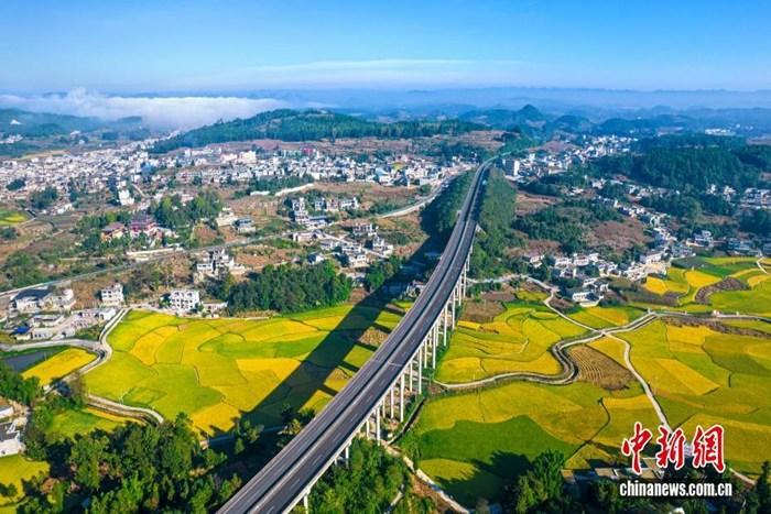 贵州黔西:金秋田园 “丰”景如画