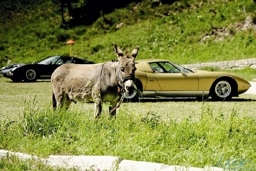 ������������Miura�ķ��֮�ã�ͼ����5��