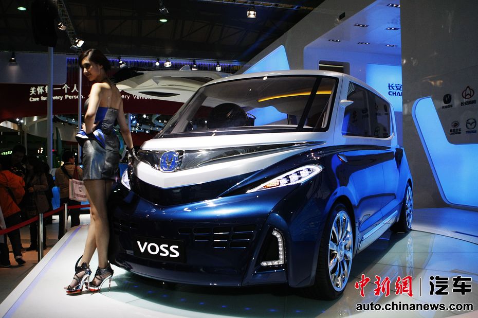 2011�Ϻ���չ������ VOSS���ʵ��