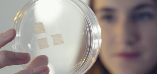 ٤����������3D��ӡ������ӡ��������Ƥ��