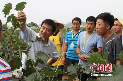 һĶ��ũҵ��ҵ����������ٿ������������Ѳ�ҵ������̨��