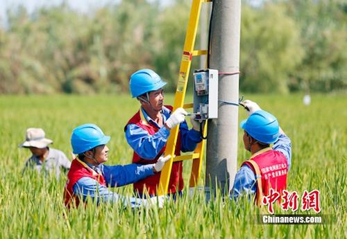 �㽭�������繫˾����������彨��