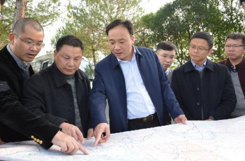 浙江龙泉市长逐梦大花园开启绿色发展新征程