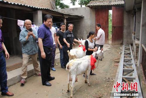 ���������ַ�����ͷ����������ǿ�й�����Ʒ��