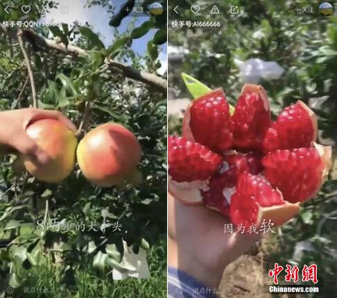 ʯ�����������������������ʤ��������פ��������̾