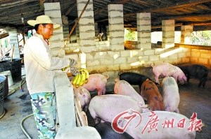 �����㽶����2ëһ������ײ�ũ�����㽶ι����2��