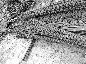 瘦身钢筋现身郑州 加工厂月赚25万要多细拉多细