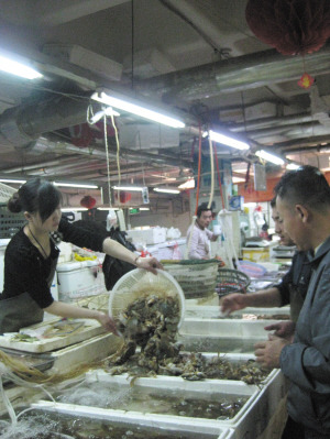 �����߲�ţ����۸��Բ���������������������