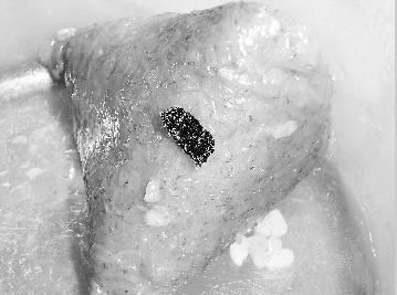 �巼ի���հ��š��ڳ��ӡ����������޻ظ�