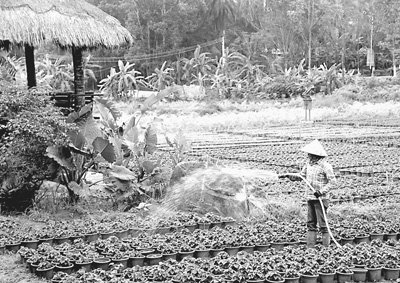 ̽·���ͳ��򻯳��򻯲�Ҫ������������