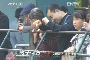 鱼翅残忍获取过程曝光我国系鱼翅主要消费国(2)