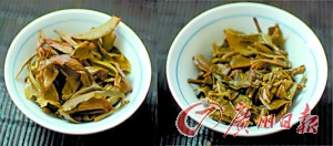 �����������ն�����Ҷ�г���ǰ�����ɽկ��