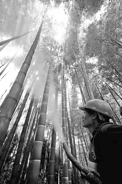 生态GDP:引领怎样的发展?