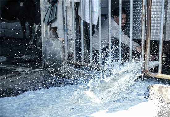 ɽ����ũͷ����ʣר������ý����ħ���й���ҵ