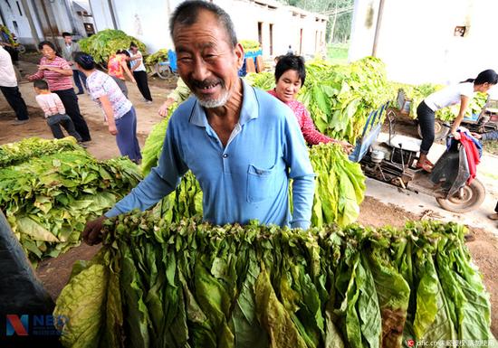 烟草业自辩:每年利税近万亿是国家支柱产业