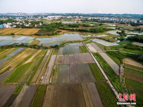 农业部:耕地轮作休耕试点确保不影响农民收入