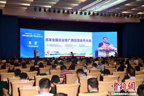 民革企业家广西探寻西部陆海新通道建设商机