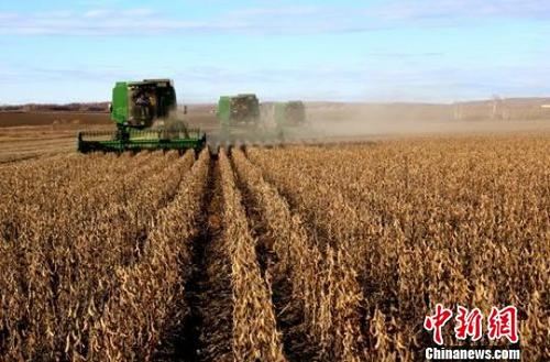 农业农村部：预计今年全国大豆播种面积超过1.3亿亩