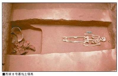河南灵宝西坡遗址开启中原地区墓葬新传统图