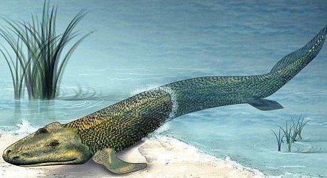 人类由鱼状蠕虫进化而来拥有超神秘第六感 图 中新网