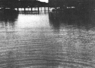 口述历史下的老舍之死一场历史的罗生门