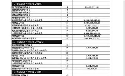 举报人周筱赟贴出的中华儿慈会2011年财务报表,并标出可疑项目。网络截图