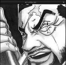 海贼王种马小说排行榜_超人气漫画《海贼王》停载因作者突然病倒