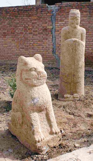 果园犁地发现唐代石刻石虎双目圆睁牙齿外露图