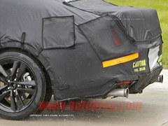 ������������ 2015���Ұ�������ع�