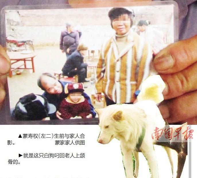 来宾陶邓乡离奇案:六旬翁寻牛失踪 狗叼回上颌骨
