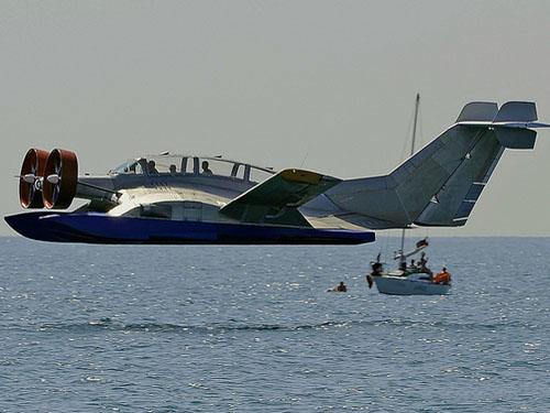 ��Ч������g