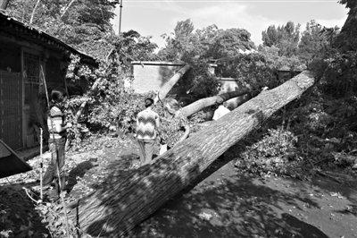 ������ɽ����ж϶��ˮ�� �����������������