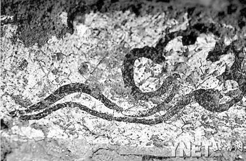 �ɴ�Ĺ������������