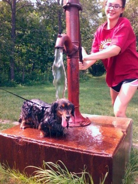 ����ͼ�����������Ѿ��ȷ��ˡ�3��