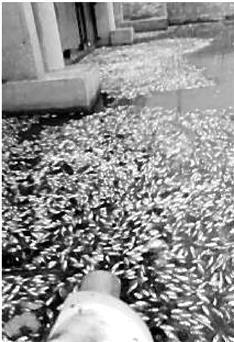 �������ຼ�����ִ�������� ����������ȱ������