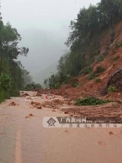 桂平:连日大雨致山体滑坡多处塌方 6车被掩埋