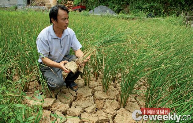 点击浏览下一页