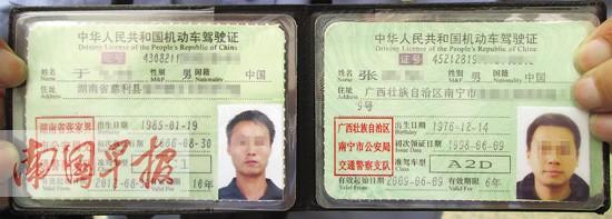 男子使用假驾照代人受罚冒用他人信息 记分 中新网