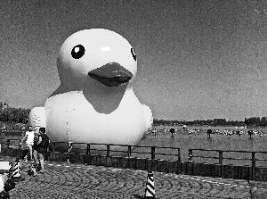 南海子公园内的“大黄鸭”。