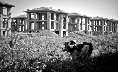 �����³ǣ�������������ϡ �³ǿռ�������