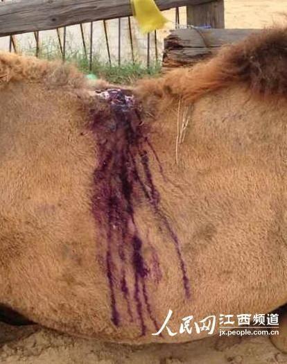 �����˿�