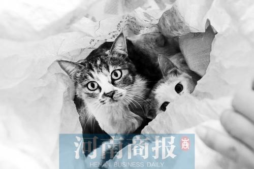 ���ҡ����С���������